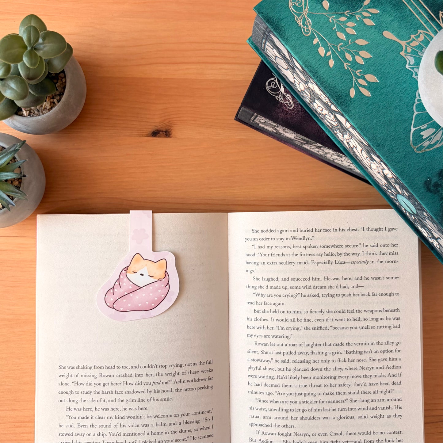 "Sunday Naps" Fold-over Magnetic Bookmark