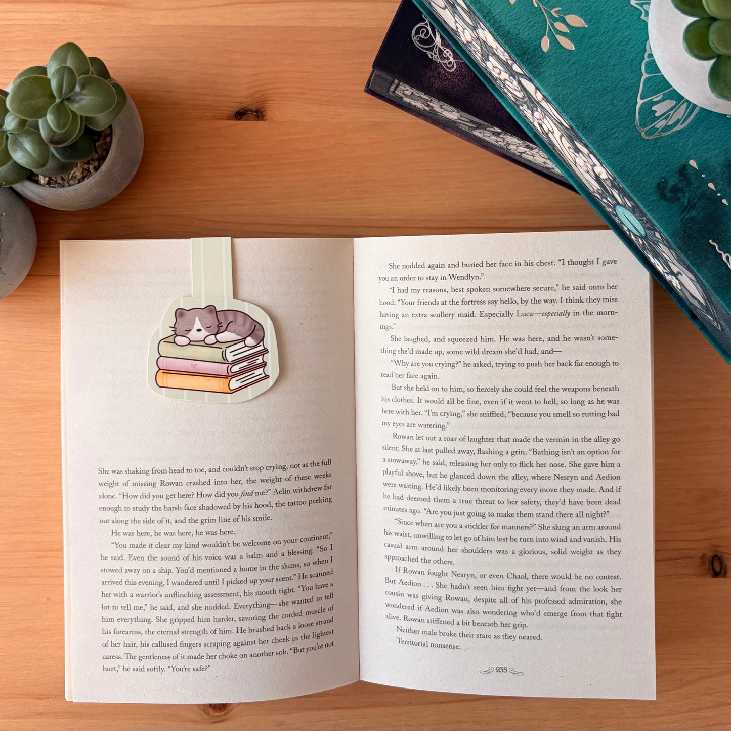 "Sunday Naps" Fold-over Magnetic Bookmark